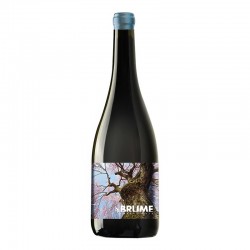 Vin CBD - Blanc - Cherry Haze - Brume